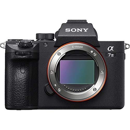 Sony Kamera Mirrorless Full-frame a7 III dengan Lensa y...