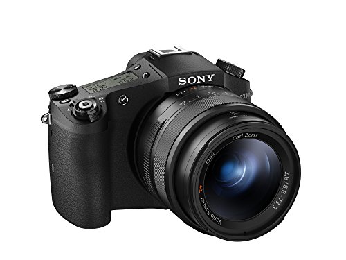 Sony Kamera Digital Cyber-shot DSC-RX10M II