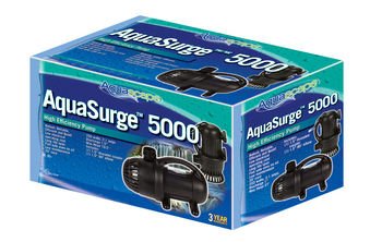 Aquascape 