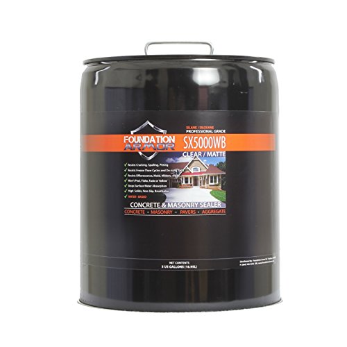 Foundation Armor 5 Gal. SX5000 WB DOT Approved Water Ba...