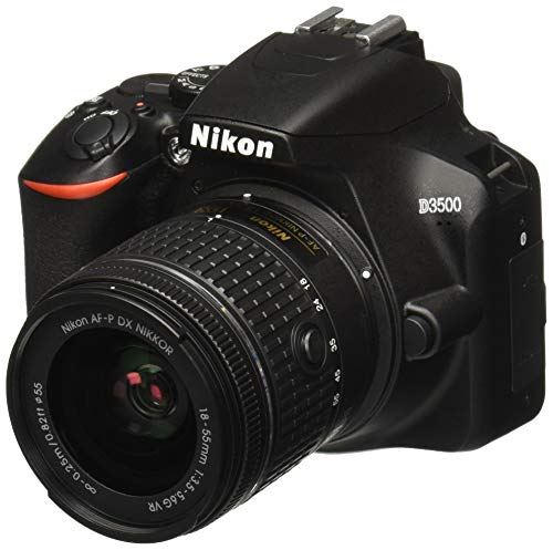 Nikon D3500 dengan AF-P DX NIKKOR 18-55mm f/3.5-5.6G VR...