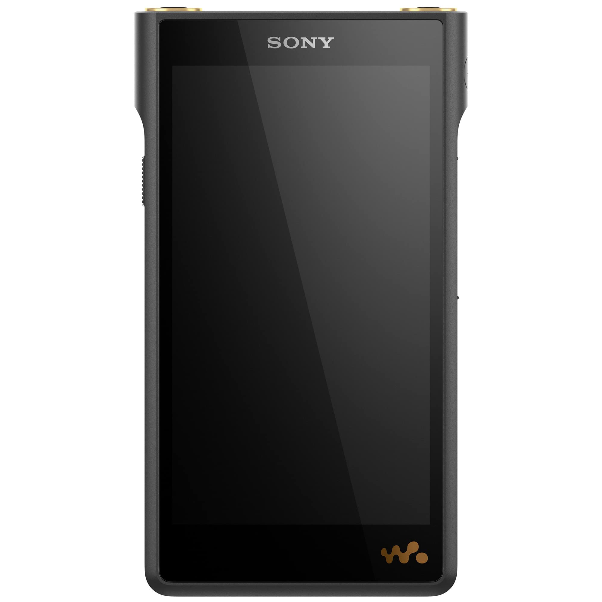 Sony NW-WM1AM2 Pemutar Musik Digital Walkman 128GB Reso...